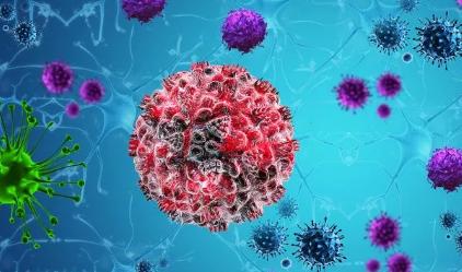 如果没有疫情特朗普会怎么样,特朗普疫情