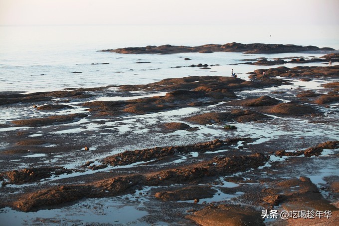 营口团山海洋公园是北海公园吗,营口团山海洋公园和金帛滩哪个好