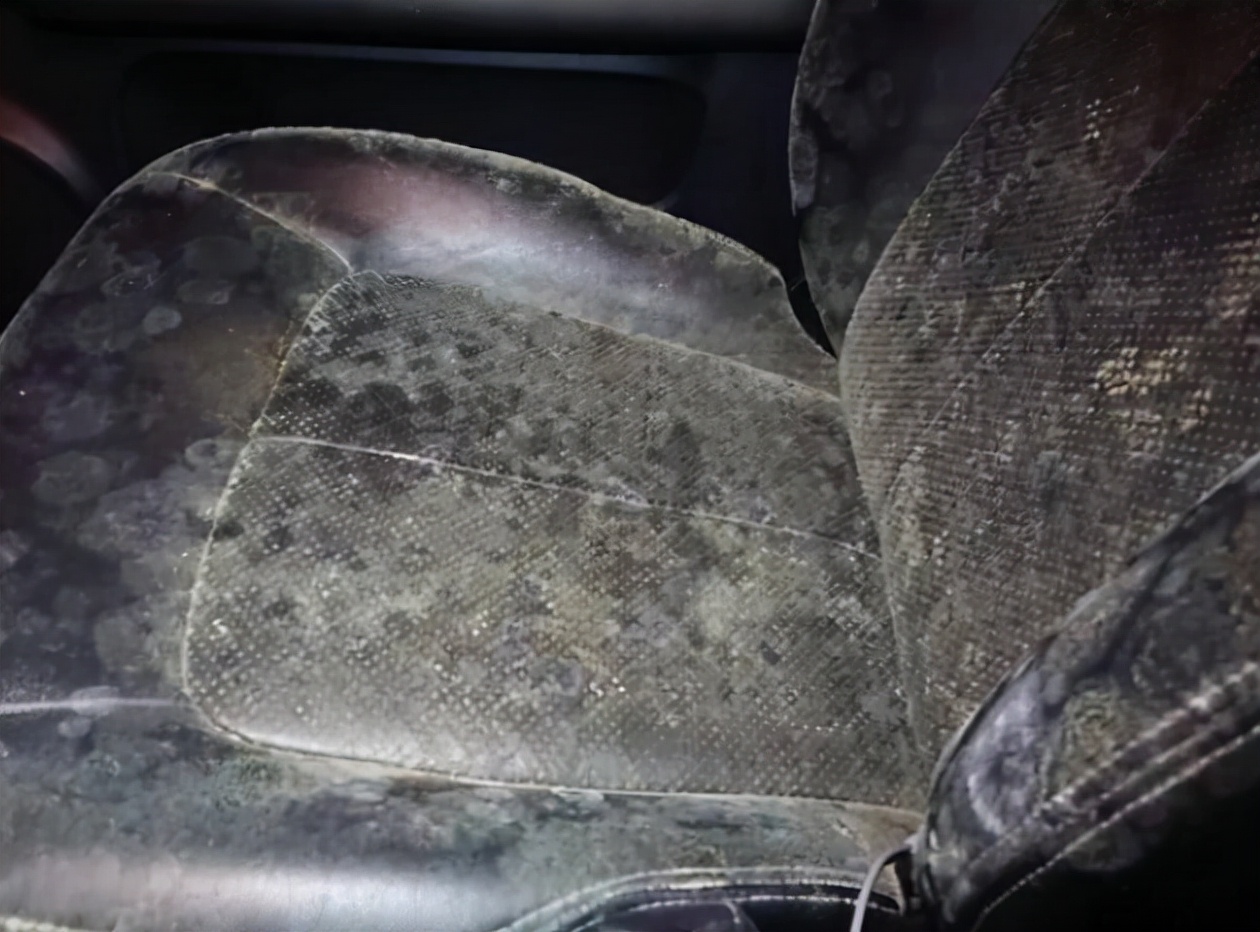 女司机上路两天不想开车了,女司机上路好久没开车了