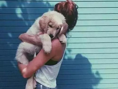 用抱宝宝的方式抱狗狗,抱狗的四个方式