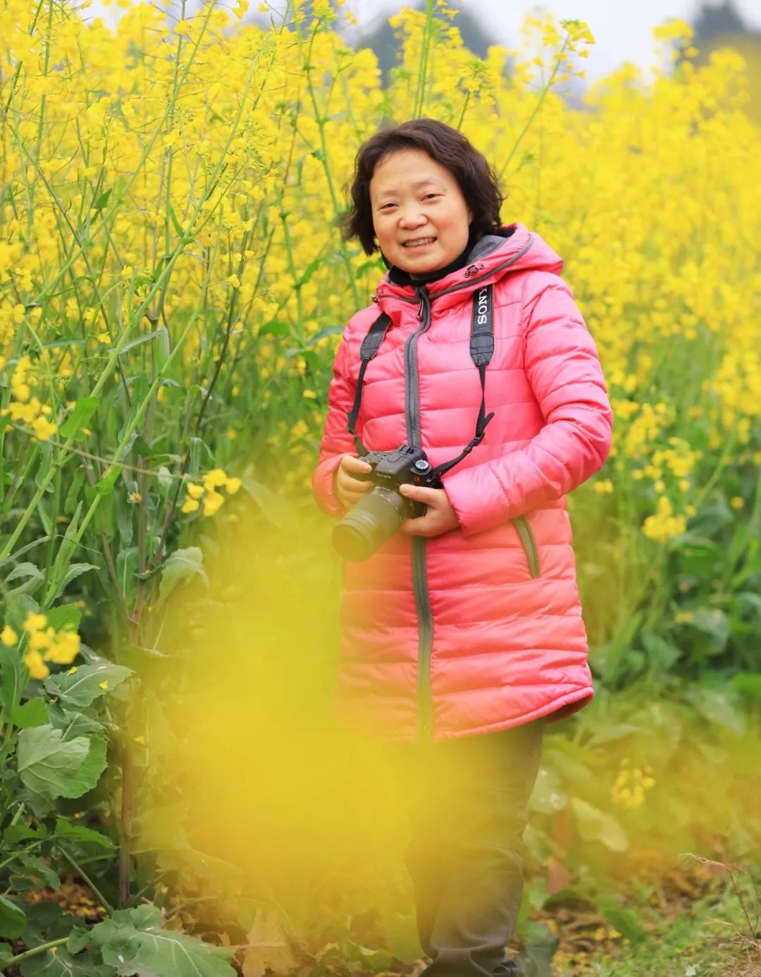 全世界唯一在运行的蒸汽小火车,经典窄轨蒸汽机车