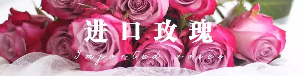 花店必备的5款玫瑰,花店最常用什么品种的玫瑰花