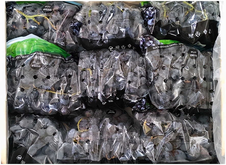 提子品种和介绍 (提子的品种都有哪些)