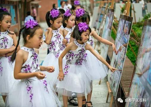 天府新区三大教育集团,天府新区五大教育集团