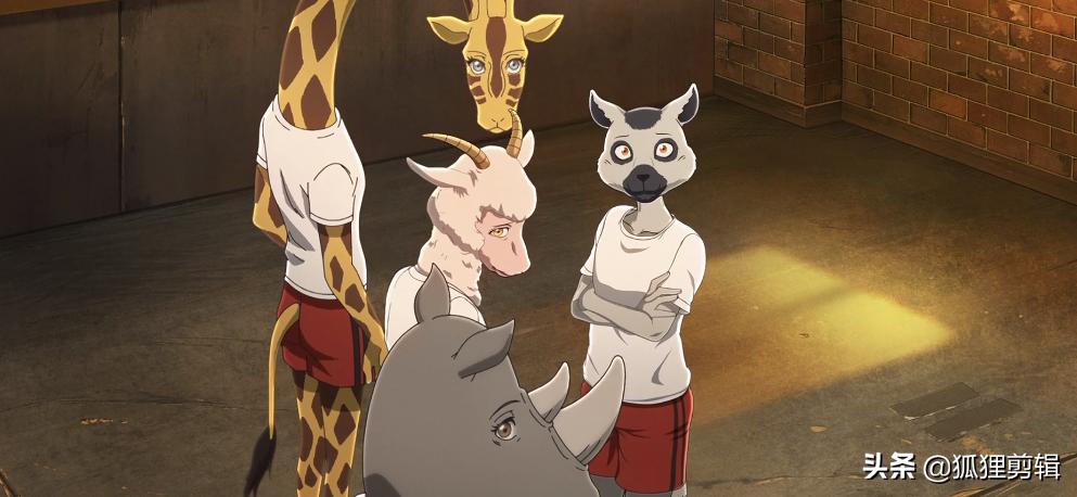 动漫推荐b站评分超高的动漫,动漫推荐b站天花板