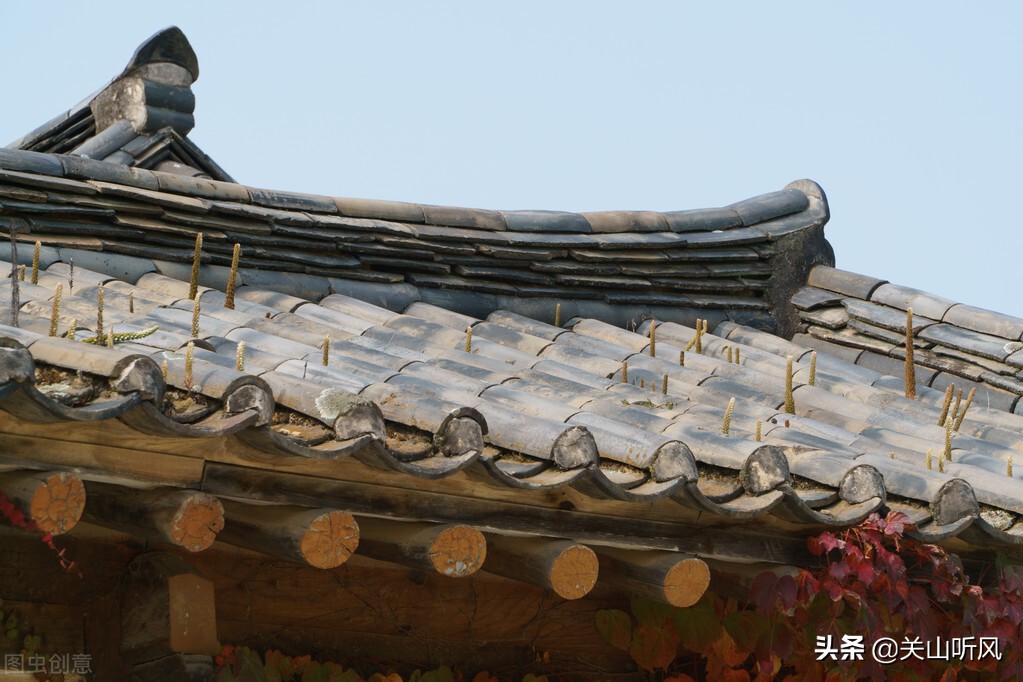 家里蟾蜍进门的真正预兆是什么,蟾蜍进屋是什么征兆