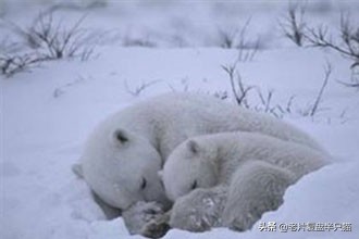 超体跟寡姐有关系吗,超体是寡姐演的吗