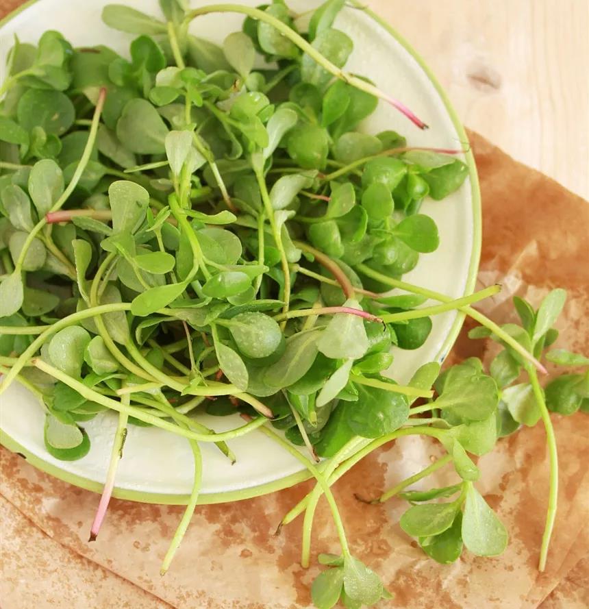 张馨予推荐的敏感肌面霜,张馨予晒出的一款面霜