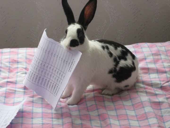 期权隐含波动率和历史波动率交叉,隐含波动率是指期权价值的波动率