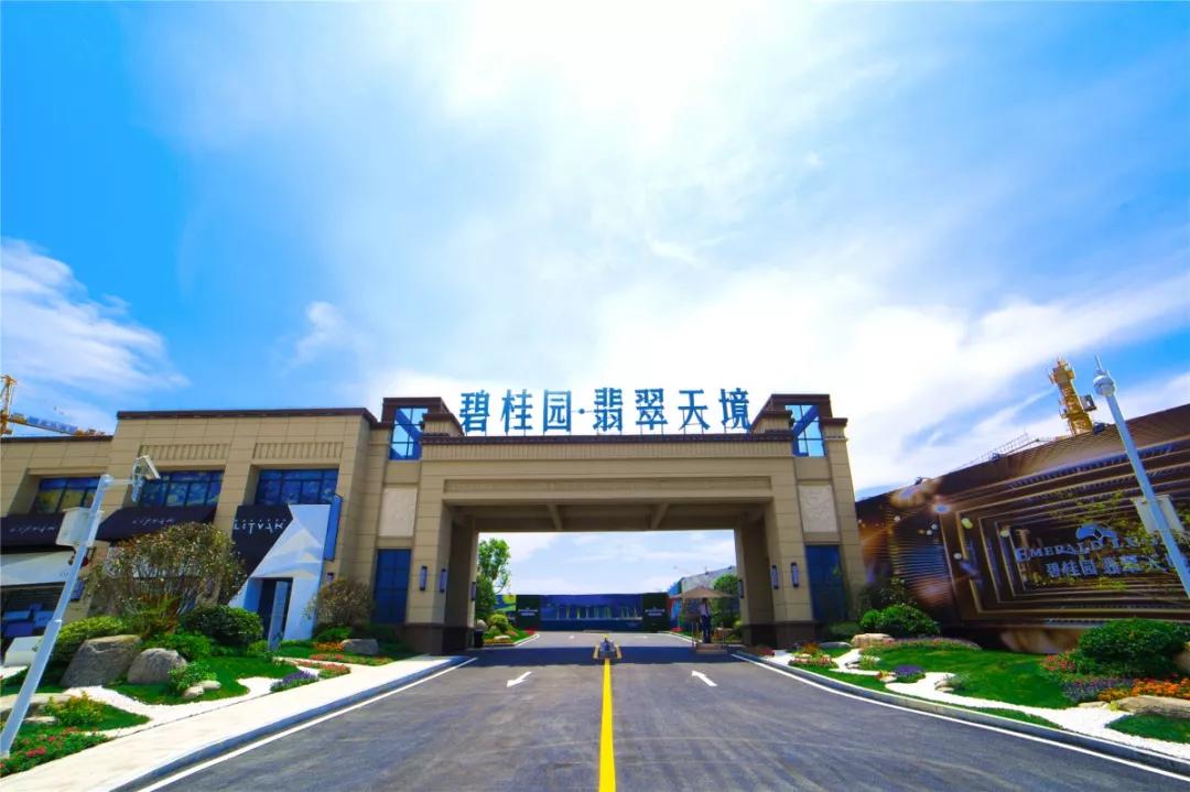 碧桂园南北通透户型讲解,碧桂园120户型分析与大师讲解