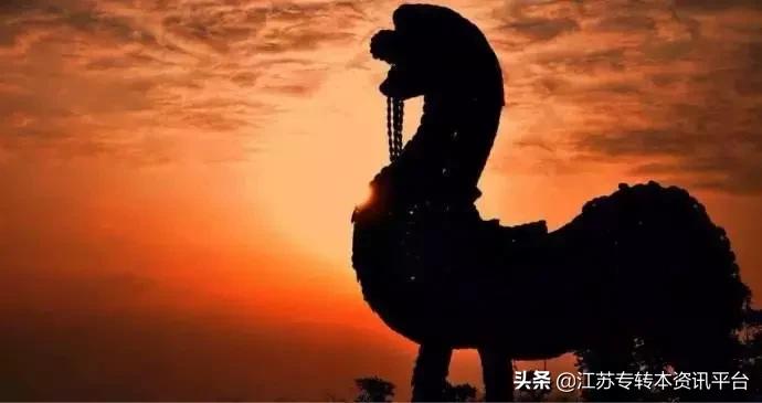 江苏专转本院校介绍「南京师范大学中北学院」