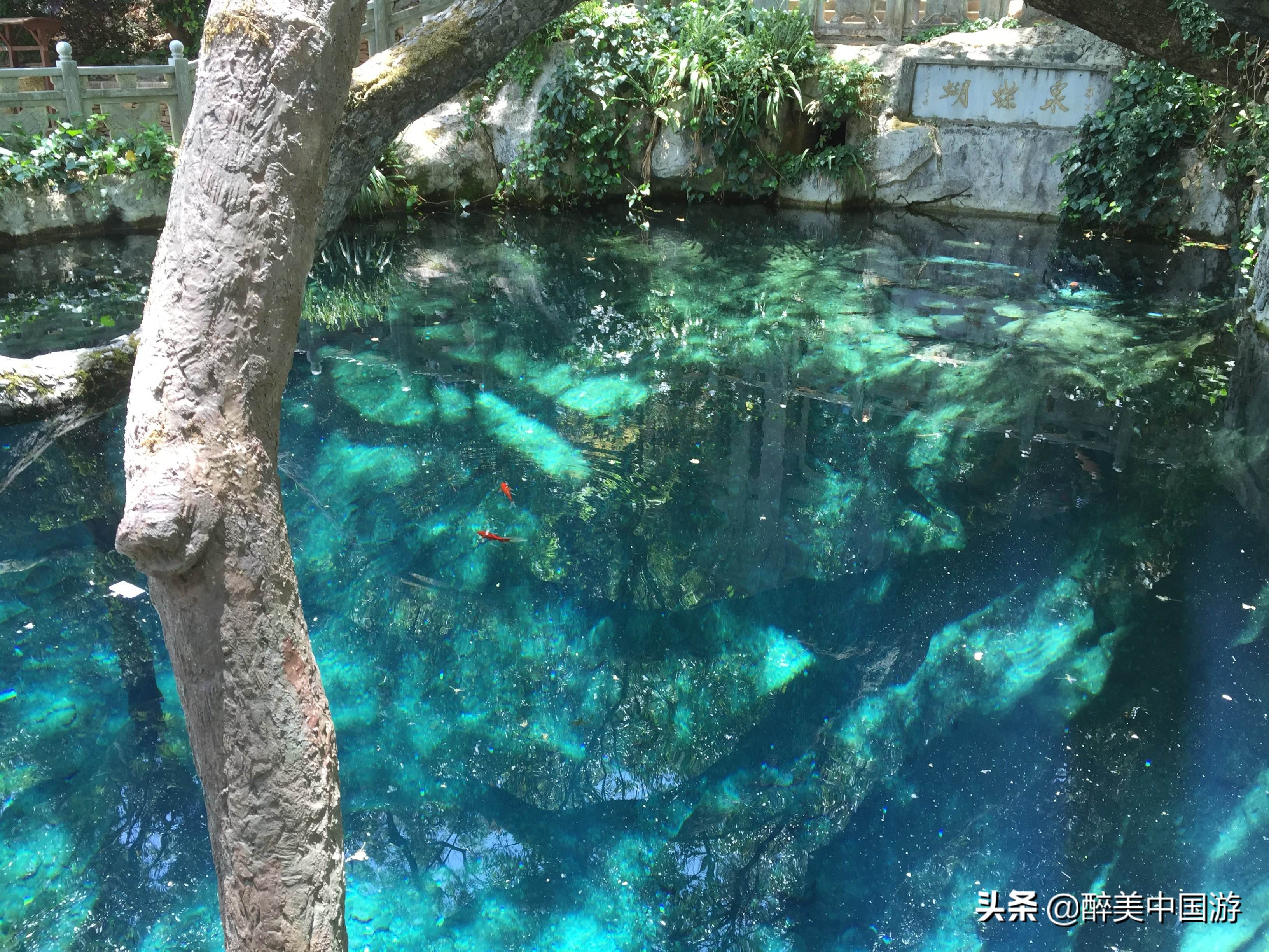 大理蝴蝶泉风景美不胜收,又一休闲好去处
