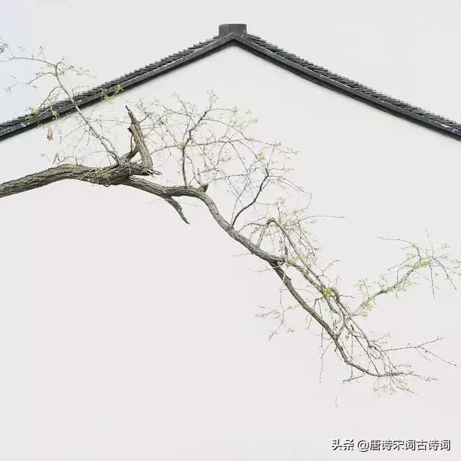 十首长相思词,十首长相思美到心醉