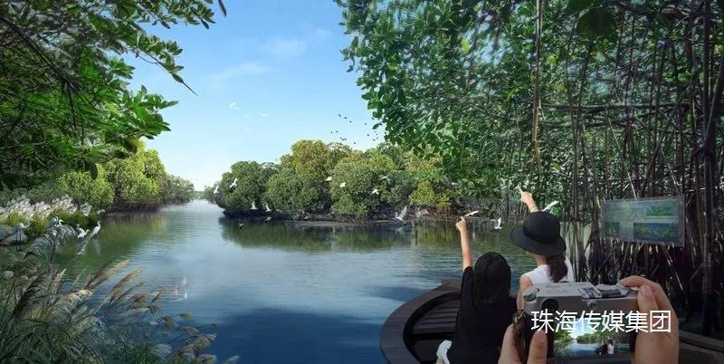 免费+湿地公园+花海栈道…珠澳市民新的休闲好去处