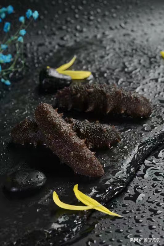 海参滋补养身增强抵抗力,滋补养生海参好吃到爆