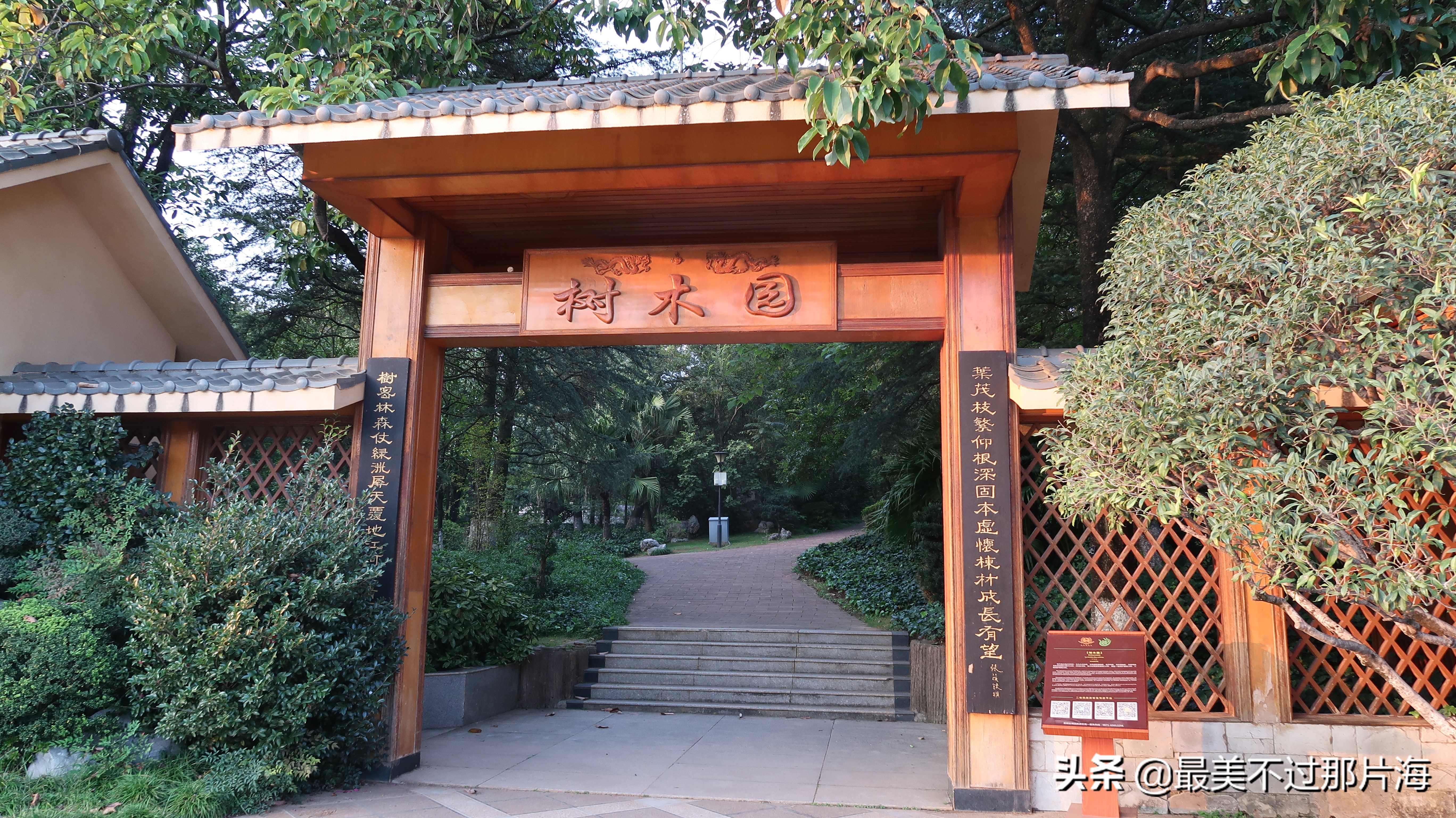 昆明世博园和云南大观园游玩攻略,昆明有个世博园四季如春好地方