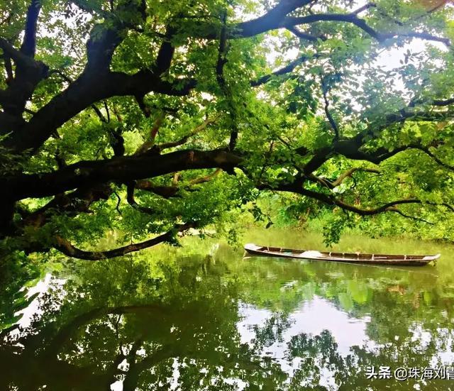 珠海有什么美食攻略值得推荐,珠海旅游有什么好吃的美食
