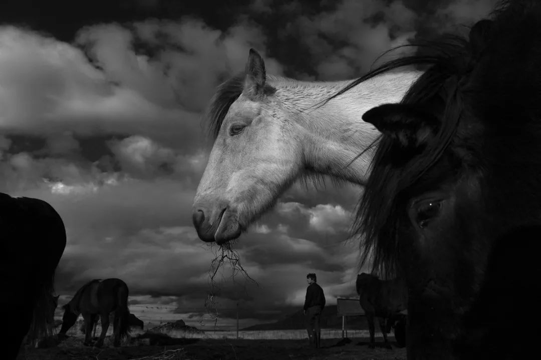 徕卡sl24-70镜头,徕卡sl24-90镜头虚化怎样