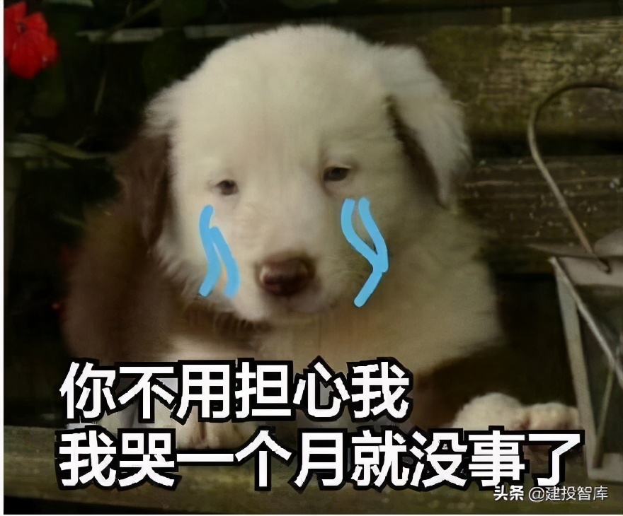 一个工程人的自白看哭了无数人,我作为一个监理人的感悟