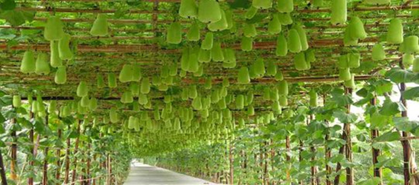 正定天山翡丽公馆几梯几户,正定天山翡丽公馆二手房