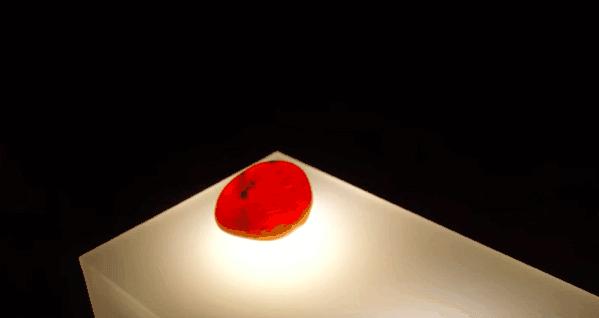 两年都预定不到座位的黑暗料理餐厅“炼金术士”，生吞金鱼的吃货