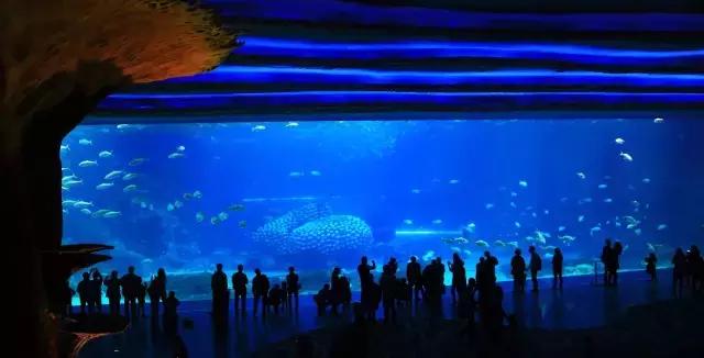 珠海长隆海洋王国暑假游,十一带孩子打卡珠海长隆海洋王国