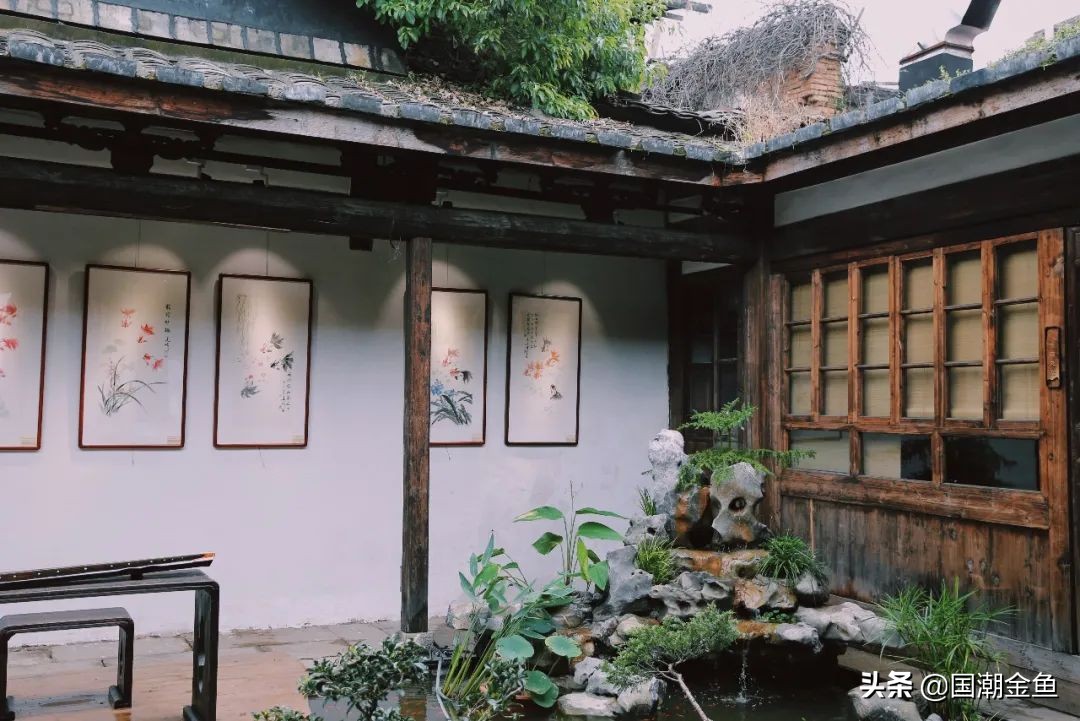 百年非遗福州观赏金鱼培育技艺,国粹传统金鱼