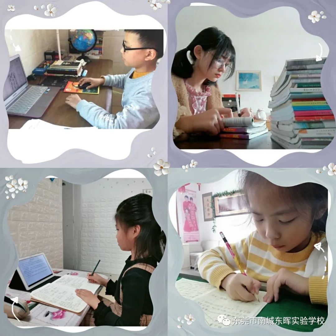 东莞南城东晖实验学校初中公费生,东莞市南城东晖实验学校