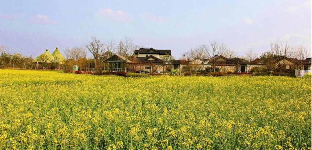 红光新城西安市,红光新城