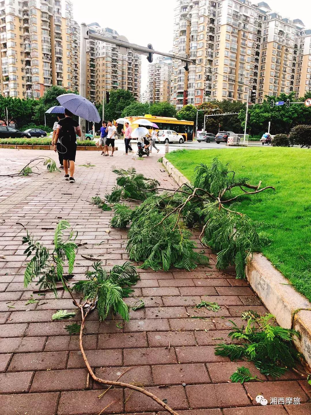 骑行大西北第十八天,麦田骑行第七十二天