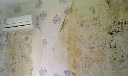 灰泥特性防潮防霉吗？