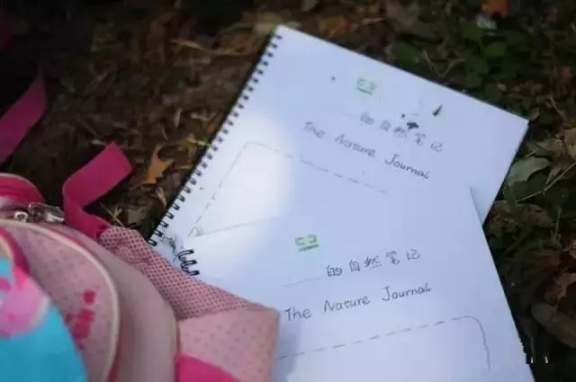 西安博爱国际学校中学部口碑,西安博爱国际学校全景