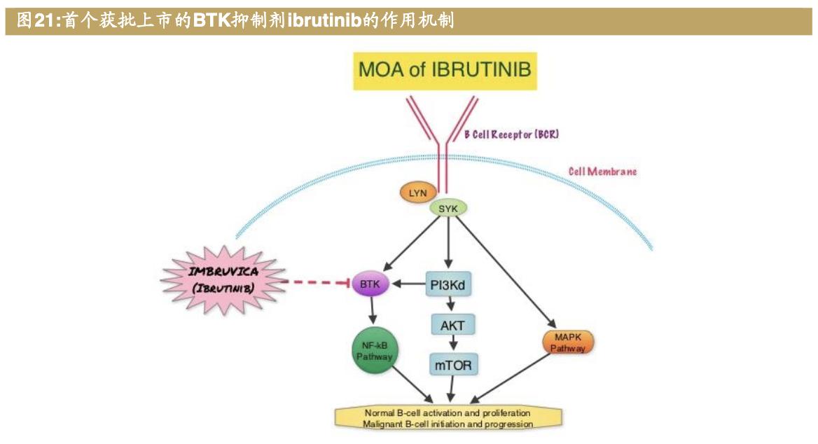 医药公司诺诚健华,诺诚健华创新药基地