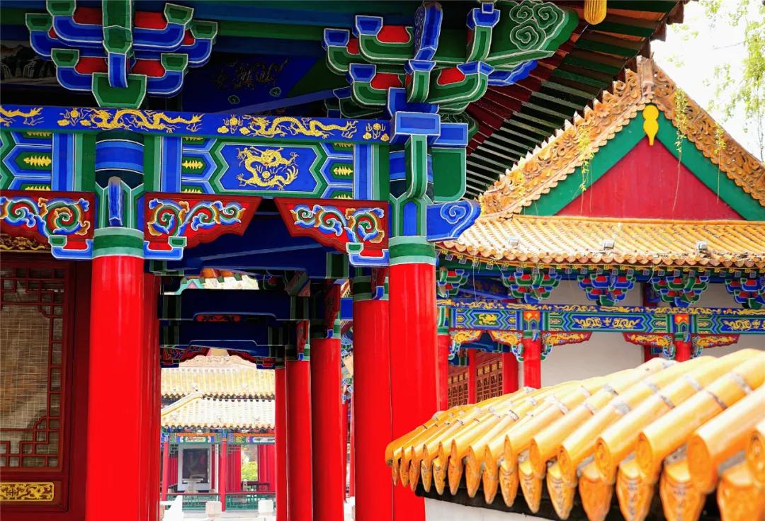 宁夏银川街心公园,银川兴庆区宁园门票多少