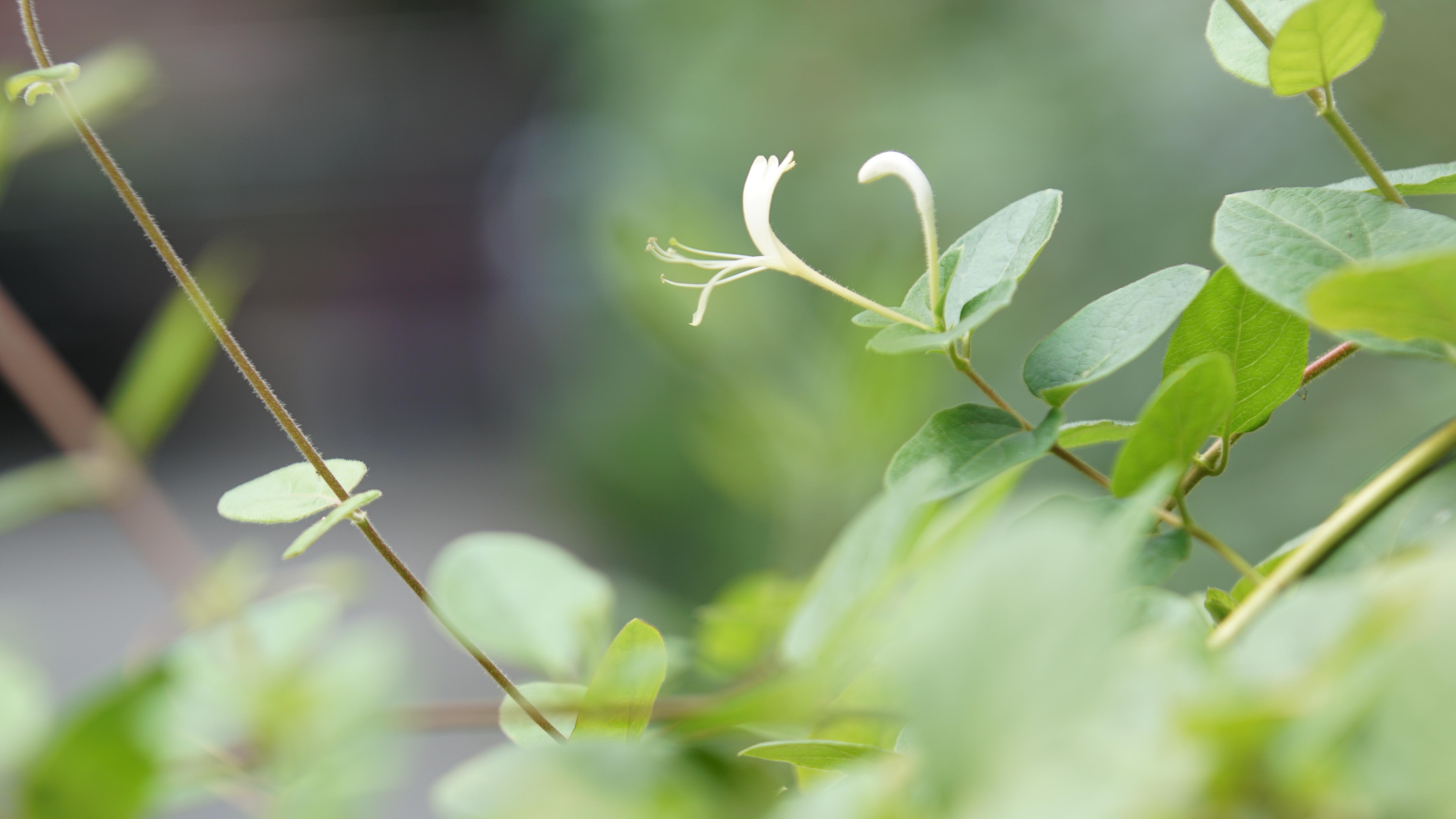 担心失去婚姻的女人，差点逼走了丈夫