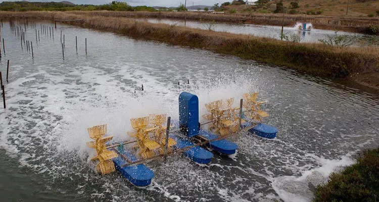 养殖池塘怎么提高溶氧,如何提高小龙虾池塘溶氧