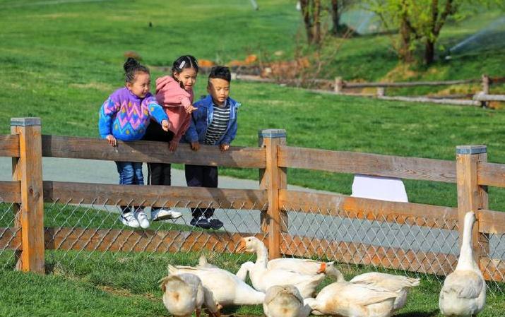 超长记录亲子牧场一日游,暑期草原亲子游攻略