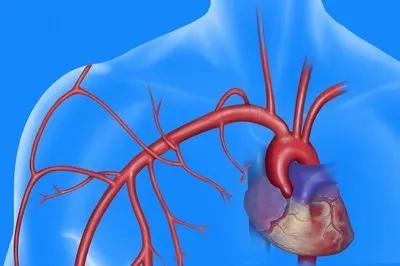 心血管病低压高用哪种药,低压高吃什么药降血压最好