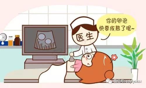 试管婴儿八大步骤,试管婴儿十个步骤