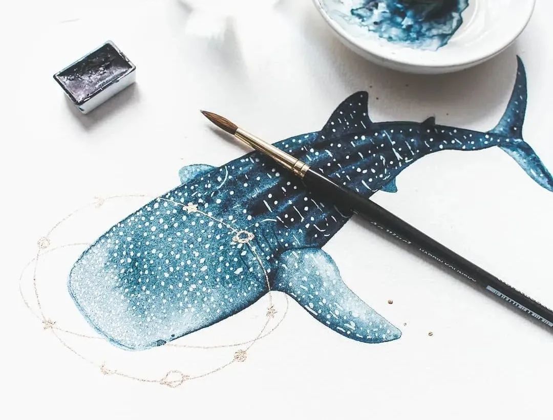 一头蓝鲸等于50只大象，被插画师画成小可爱，治愈了我们的内心