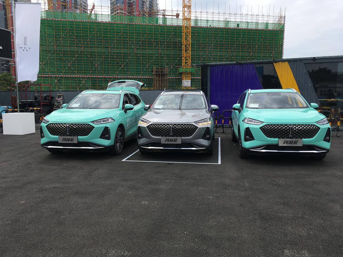 wey玛奇朵插电混动版能跑多少码,泰州wey玛奇朵试驾