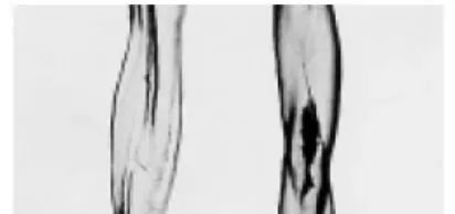 纺织纤维与面料分析介绍,天然纤维面料基础知识大全