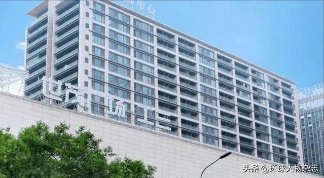 16亿接盘贾跃亭“最值钱资产”的神秘富豪，竟是毛阿敏的丈夫