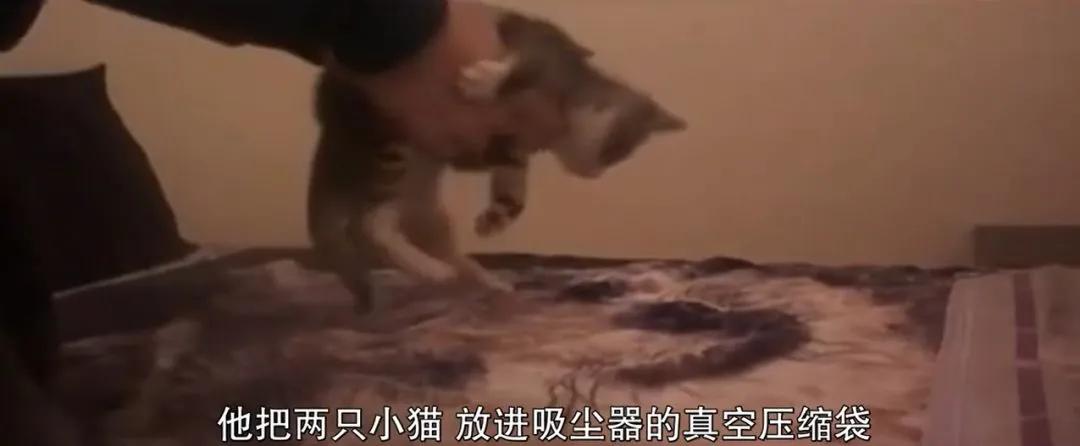 多人围观性侵案,真人秀性侵案