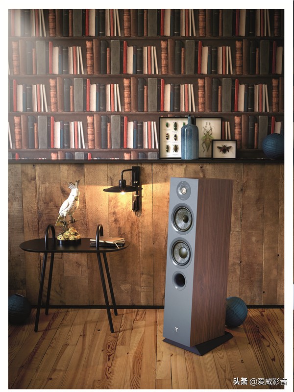 focal劲浪chora,劲浪focalbathys颜色