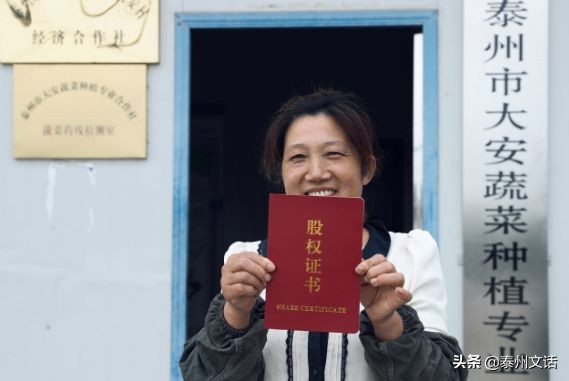 江苏泰州白米镇景点排行,姜堰市各乡镇排名