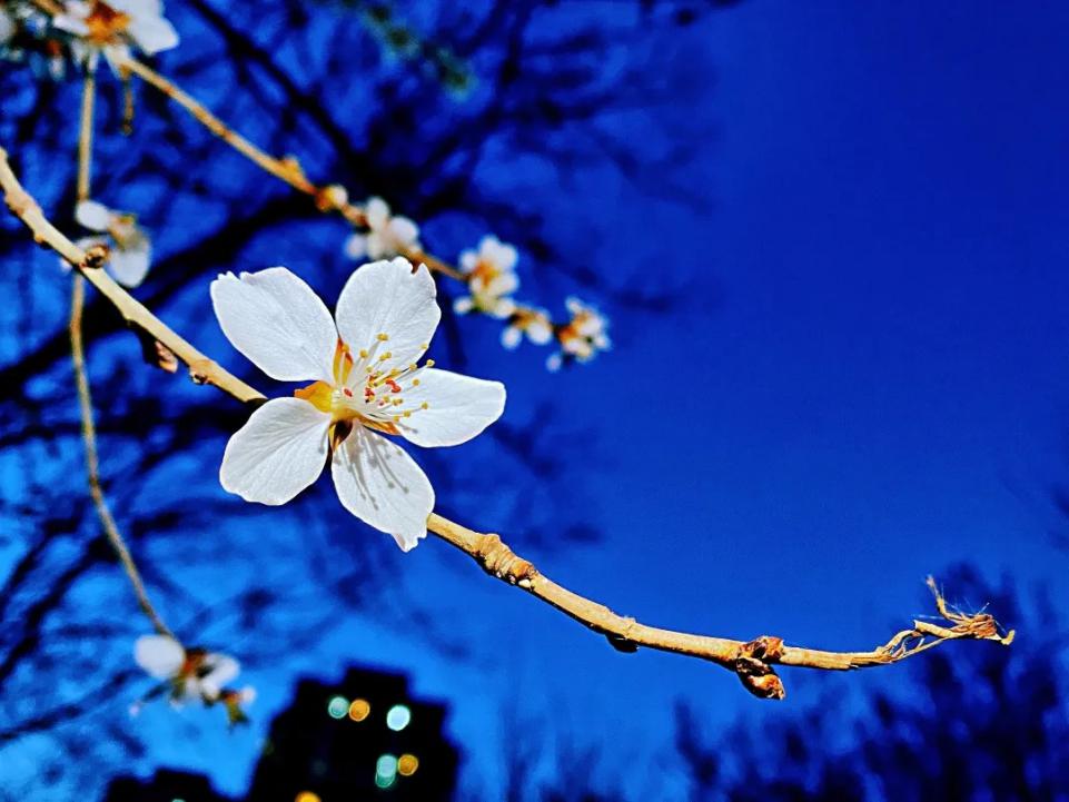 线上快进,线下激活!五月,荣盛物业渐进式启动双线社活