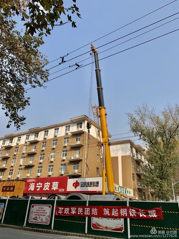 涧西牡丹广场老照片,洛阳牡丹手机拍照