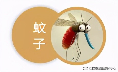 注意！隆安县城各区域除“四害”开始啦