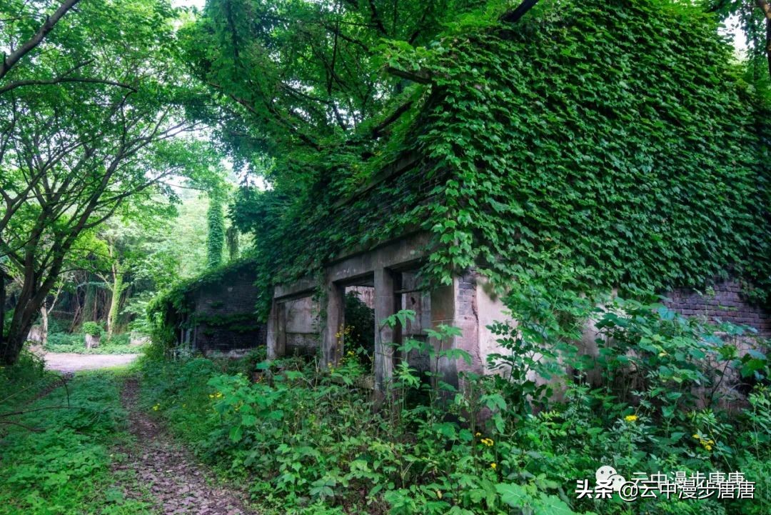 嘉陵江礼安,嘉陵江边周子古镇